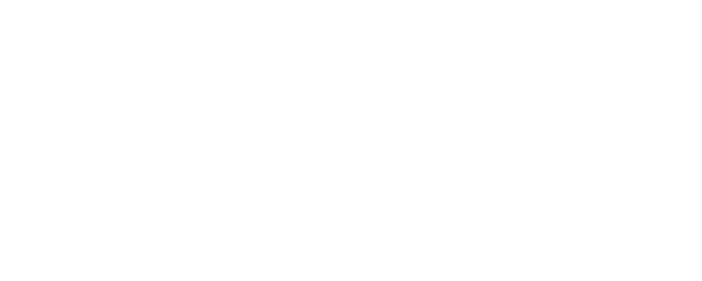 Litsite | Shopify Experts & Marketing Agency
